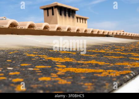 Detaillierte Ansicht einer strukturierten Dachoberfläche, bedeckt mit lebhaftem orangefarbenem Flechtenbewuchs, mit traditionellen Terracotta-Ziegeln und einem Schornstein im Hintergrund unter einem c Stockfoto