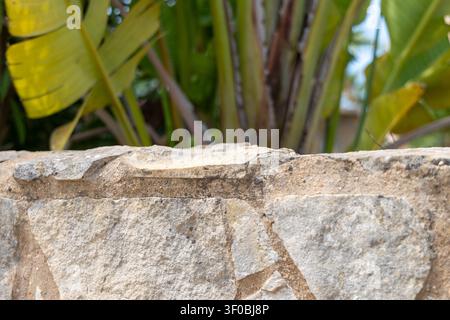 Eine Nahaufnahme einer rustikalen Steinmauer mit einem unscharfen Hintergrund aus lebendigen grünen Blättern und einem Hauch von Himmel, der an einen Garten oder eine Außeneinrichtung erinnert Stockfoto
