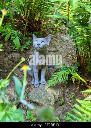 Russisch Blau weibliche Katze sitzt umgeben von grünem Laub Stockfoto