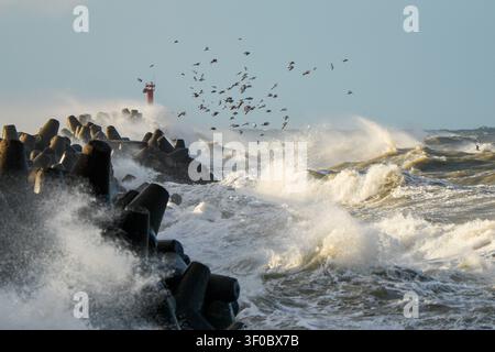 Stürmische Ostsee nahe Liepaja, mächtige Wellen schlagen gegen den Hafenmolen, während Seevögel über der dramatischen Meereslandschaft fliegen Stockfoto