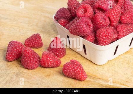 Frische reife Himbeeren in Papierkörben auf einem Holztisch, gesunde Bio-Sommerbeeren. Stockfoto