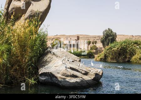 Flusslandschaft des Nils und Felsen, Assuan, Oberägypten, Ägypten Stockfoto