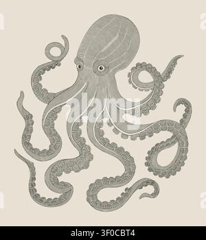 Alte Krake mit welligen Tentakeln, Illustration im Stil einer Vintage-Stichzeichnung Stock Vektor