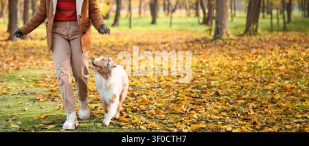 Person Wanderhund im Herbstpark Stockfoto