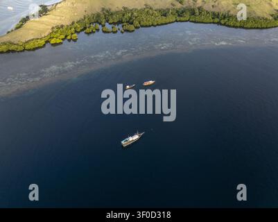 Blick aus der Vogelperspektive auf Holzboote, die in tiefblauem Wasser vor der Küste der Insel Komodo mit üppigen grünen Hügeln und Mangroven in Komodo, Ost-Nusa Tengg, ankern Stockfoto