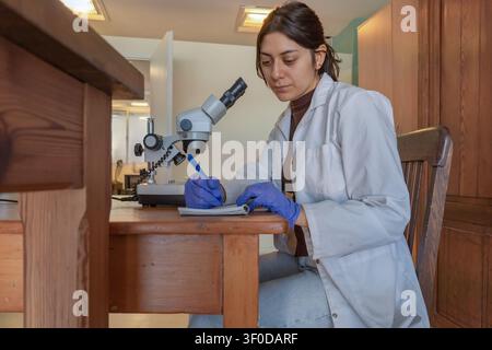 Junge Wissenschaftlerin in weißem Laborkittel und blauen Handschuhen, die an einem hölzernen Labortisch sitzt und Notizen in ein Notizbuch neben einem Stereomikroskop in einem scie schreibt Stockfoto