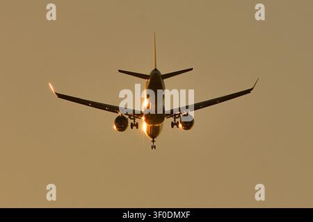 airBaltic Airbus A220-300-Passagierflugzeug, das bei Sonnenuntergang zur Landung anfliegt, mit ausgefahrenem Fahrwerk Stockfoto