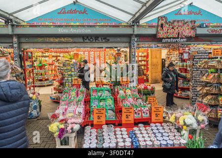 Blumenmarktstand in Amsterdam, der Tulpenzwiebeln und Samen an Touristen in den Niederlanden verkauft Stockfoto