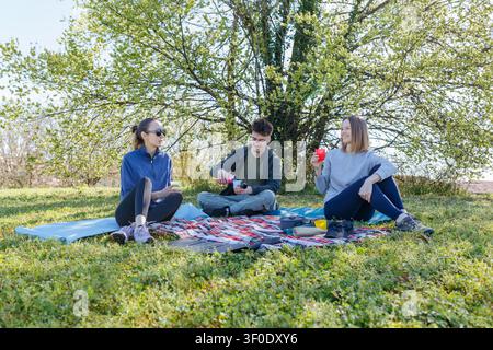 Gruppe von Freunden, die ein Picknick mit einem tragbaren Solarpanel in einem sonnigen Park machen Stockfoto