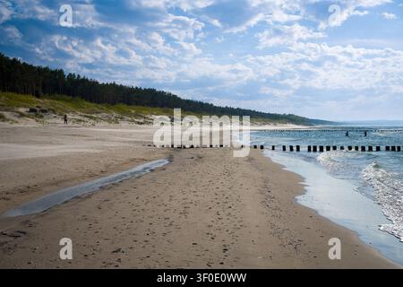 Breitwinkel-Szenenbild einer sandigen Strandküste an der Ostsee mit hölzernen Uferbuhnen, Wasserlachen und bewaldeten Dünen unter einer bewölkten b Stockfoto