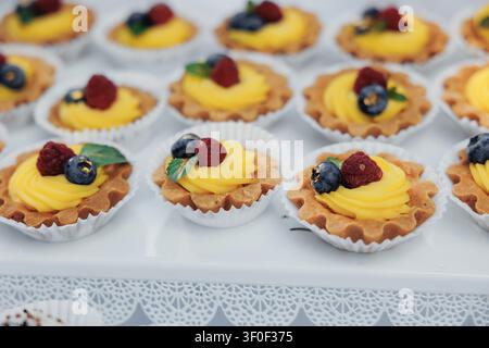 Zarte Törtchen glänzen mit cremiger gelber Füllung. Himbeeren und Blaubeeren schmücken jeden Bissen. Winzige, blättrige Krusten halten süße, lebendige Zentren. Weiß Stockfoto