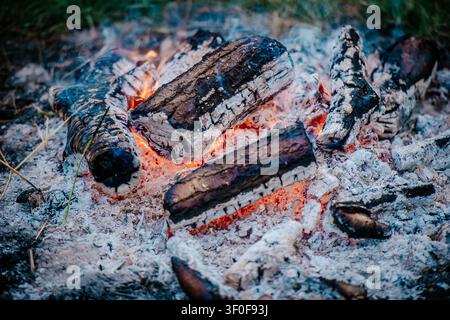 Nahaufnahme von glühenden Kohlen und heißer Asche in einem erlöschenden Lagerfeuer Stockfoto