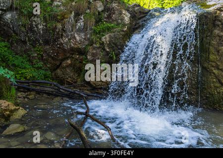 Kleiner Waldwasserfall stürzt über felsige Klippe in ein natürliches Becken Stockfoto