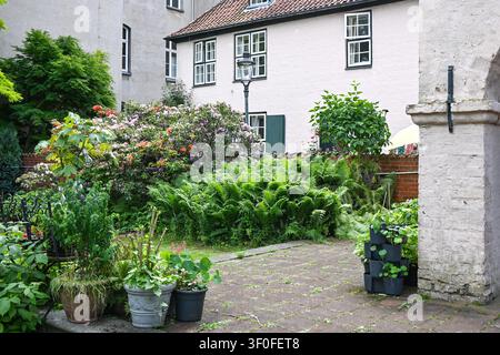 Kleiner, schattiger Hinterhofgarten hinter historischen Häusern mit einer terrassenförmigen Terrasse, Farnen und Rhododendren, ein Stück Natur in der Altstadt, selektiver Fokus, geringe Tiefenschärfe Stockfoto