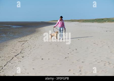 Eine Frau mit ihrem Shar Pei am Strand in Knock in Emden Stockfoto