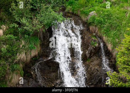 Bergwasserfall stürzt über Felsen inmitten üppiger alpiner Vegetation in den Brentadolomiten, Trentino, Norditalien. Stockfoto