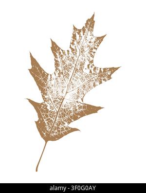 Eichenblatt-Isolatelement mit detaillierter Grunge-Skeletttextur für Logoentwurf, botanische Drucke und Herbst-Einladungen, minimalistisch braun und weiß p Stock Vektor