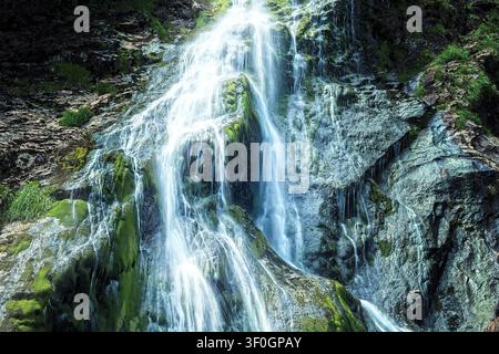 Stürzendes weißes Wasser stürzt über moosige grüne Klippen am Powerscourt-Wasserfall und fließt über schroffe dunkle Felsen in der Grafschaft Wicklow, Irland. Stockfoto