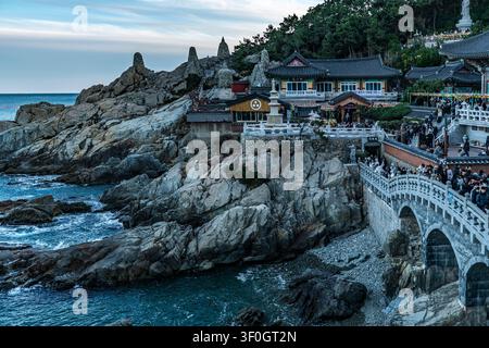Besucher drängen sich auf einer Steinbrücke neben traditionellen Pavillons und Pagoden des Haedong Yonggungsa Tempels an einer felsigen Küste in der Dämmerung in Busan, Südkorea Stockfoto