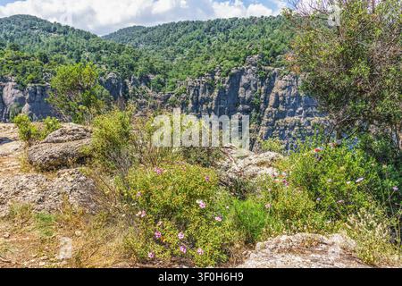 Blick auf den Tazi Canyon im Taurus-Gebirge, der felsige Klippen, lebendige Vegetation und blühende Wildblumen vor einem Hintergrund aus blauem Himmel zeigt Stockfoto