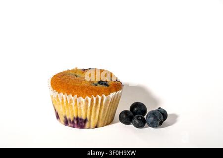 Hausgemachter Blaubeermuffin mit frischen Blaubeeren auf weißem Hintergrund Stockfoto