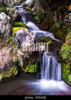 Blick auf einen kleinen Wasserfall, der über moosige Felsen im Isuien-Garten und Neiraku-Museum in Nara, Nara, Japan stürzt Stockfoto