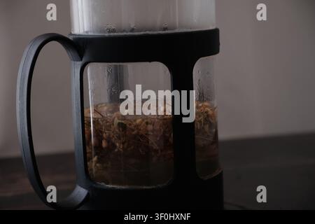Nahaufnahme von der Zubereitung von Kräuter-Linden-Tee in einer Glas-Französischen-Presse Stockfoto