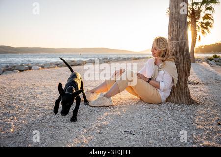Junge Frau sitzt an einem Palmenbaum an einem sonnigen Strand zur goldenen Stunde, während ihr schwarzer Labradorretriever in der Nähe erkundet, und fängt ruhige Kameradschaft und o Stockfoto