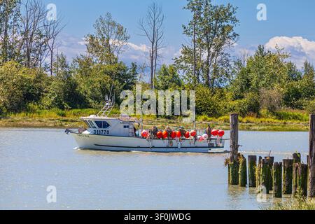 Handelsfischereifahrzeug kehrt in den Hafen von Steveston zurück Stockfoto
