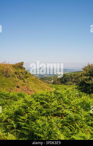 Weitläufiger Blick vom Rand von Bodmin Moor nahe Minions nach Osten über die sanfte grüne Landschaft mit verstreuten Häusern und Bäumen. Stockfoto