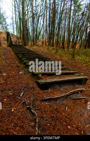 Holztreppen führen einen steilen Pfad durch einen ruhigen Herbstwald hinab, bedeckt mit gefallenen Blättern und hohen Bäumen, und schaffen eine ruhige Outdoorszene zum Wandern Stockfoto
