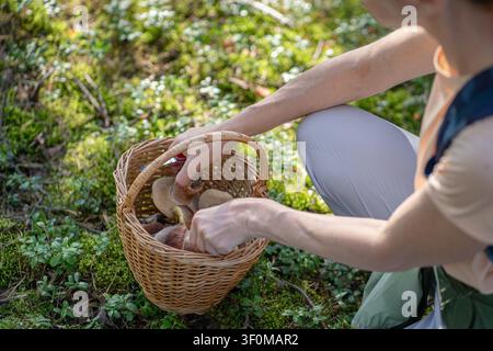 Frau, Naturliebhaberin, die Pilze im Wald sammelt, natürliche Nahrung und verantwortungsvolle Ernte. Stockfoto