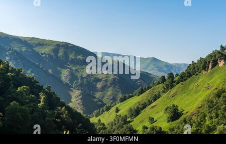 Üppige grüne Berghänge und geschichtete Felsgrate ziehen sich in der Ferne über ein tiefes Tal in den Vorbergen des Tian Shan in Zentralasien zurück. Stockfoto