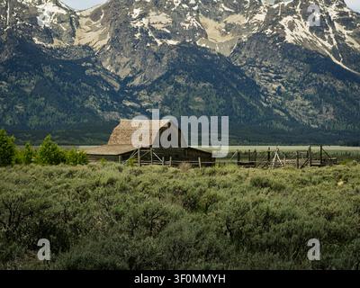 Eine Ansicht der historischen Moulton-Scheune und des hölzernen Pferchs in Mormon Row Stockfoto