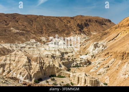 Dramatische erodierte Kreide- und Kalkstein-Canyonformationen erheben sich in geschichteten weißen und ockerfarbenen Schichten innerhalb eines trockenen Wadis in der Judäischen Wüste nahe dem Toten Meer Stockfoto