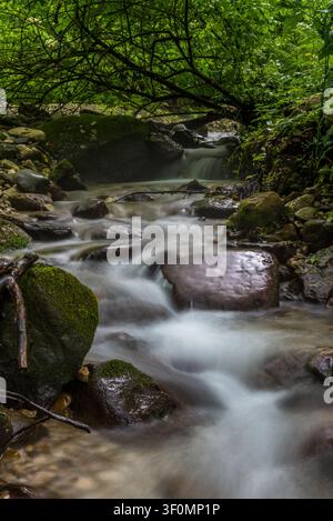 Ein schnell fließender Gebirgswaldbach stürzt über geschichtete moosbedeckte Felsbrocken und nasse Felsen unter einem dichten grünen Baldachin überhängender Äste an Stockfoto