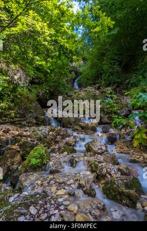 Ein mehrstufiger Bergbach stürzt über moosbewachsene Felsbrocken durch eine enge, dicht bewaldete Schlucht, wobei ein üppiger grüner Laubhimmel den Rahmen bildet Stockfoto
