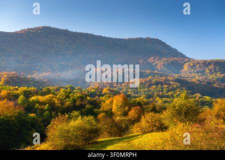 Eine weitläufige Hügellandschaft zeigt einen geschichteten Laubwald in seiner Herbstfarbe auf dem Höhepunkt, mit warmem Gold, Bernstein. Stockfoto