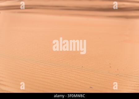Nahaufnahme von windgeformten wellenförmigen Mustern über glatten, orangefarbenen Sanddünen in einer weiten Wüstenlandschaft, wahrscheinlich der Sahara oder der Arabischen Wüste r Stockfoto
