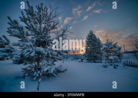 Schneebedeckte Kiefern stehen in einem frostbedeckten Gartengrundstück oder Datscha-Areal bei Sonnenuntergang. Stockfoto