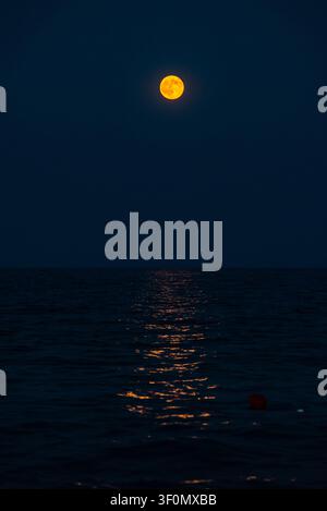 Ein leuchtend orangefarbener Vollmond steigt tief über einem ruhigen offenen Meer auf und wirft einen leuchtenden goldenen Reflexionspfad über das sanft wellige dunkle Wasser darunter. Stockfoto