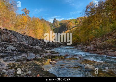 Ein wilder Gebirgsfluss fließt durch eine enge Felsschlucht, die von dichtem Laubwald gesäumt ist, der in orange, gelb und grün leuchtenden Herbstlauben glüht. Stockfoto
