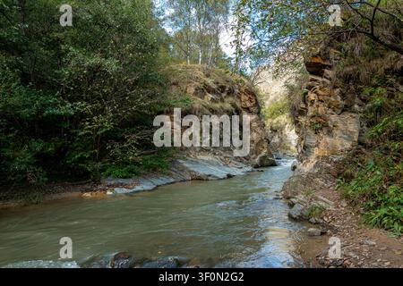 Ein turbulenter gletschergefütterter Gebirgsfluss fließt durch eine enge felsige Schlucht, die von geschichteten Sandsteinklippen und dichtem Laubwald im Norden flankiert wird Stockfoto