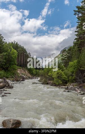 Ein schnell fließender Gletschergebirgsfluss schneidet sich durch einen dichten Kiefern- und Laubwald im Großen Kaukasus. Stockfoto
