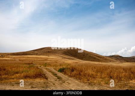 Ein sich windender Feldweg schneidet durch sonnenverbrannte goldene Graslandschaften, die zu abgerundeten führen. Stockfoto