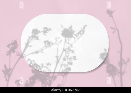 Natürliches Licht wirft Schatten von Wildgräsern auf ein ovales Blatt weißes strukturiertes Papier, das auf einem rosa strukturierten Hintergrund liegt. Mockup. Stockfoto