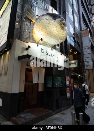Riesiges beleuchtetes Fugu-Zeichen über dem Eingang eines Fugu-Restaurants in einer Straße in Shibuya, Tokio, Japan Stockfoto