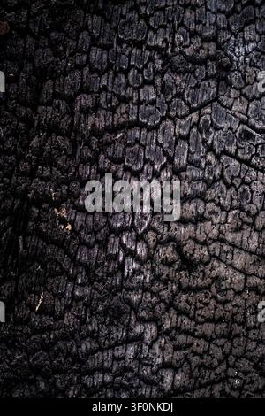 Nahaufnahme von verbrannter Holztextur und einer schwarzen verkohlten Oberfläche im Konservierungs- und Rekonstruktionsstandort der Maison de la Mere Pourcel, Form Stockfoto