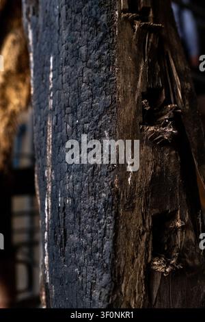 Nahaufnahme eines verkohlten Holzbalkens mit schweren Feuerschäden und Alligatorierungstextur im Maison de la Mere Pourcel-Konservierungs- und Rekonstruktionsgebäude Stockfoto