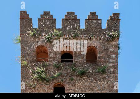 Eine Nahaufnahme des oberen Abschnitts der Kasbah-Stadtmauer zeigt die charakteristischen stufenförmigen Zinnen mit weißen blühenden Pflanzen, die daraus wachsen Stockfoto